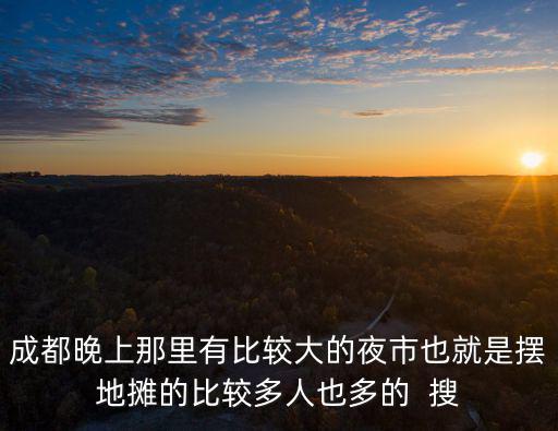 成都晚上那里有比較大的夜市也就是擺地?cái)偟谋容^多人也多的  搜