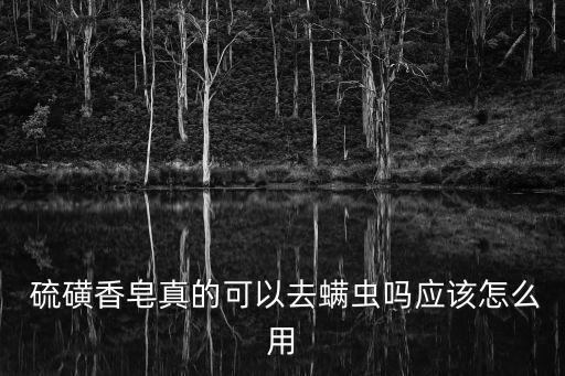  硫磺香皂真的可以去螨蟲嗎應(yīng)該怎么用