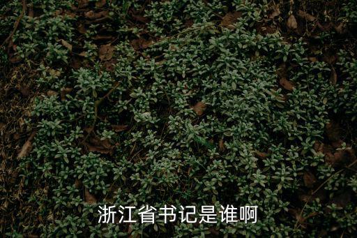 浙江省書記是誰啊
