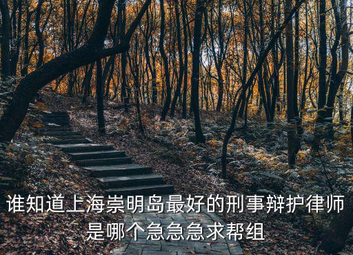 誰知道上海崇明島最好的刑事辯護律師是哪個急急急求幫組