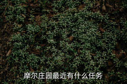 摩爾莊園最近有什么任務