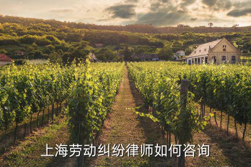 上海勞動糾紛律師如何咨詢