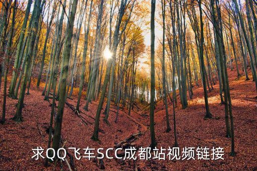 求QQ飛車SCC成都站視頻鏈接