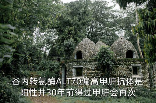 谷丙轉氨酶ALT70偏高甲肝抗體是陽性并30年前得過甲肝會再次