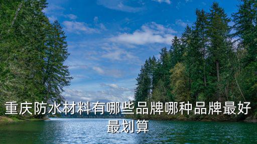 重慶市防水品牌涂料，重慶都有哪些防水材料