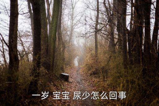 一歲 寶寶 尿少怎么回事