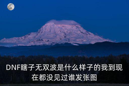 DNF瞎子無雙波是什么樣子的我到現在都沒見過誰發張圖