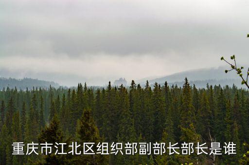 重慶市陳夢緣，重慶市渝煌建筑工程有限公司機械化分公司法人代表