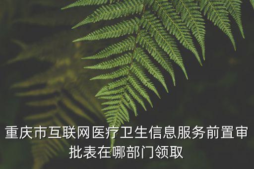 重慶市互聯網衛生和社會工作，重慶市互聯網醫療衛生信息服務前置審批表在哪部門領取