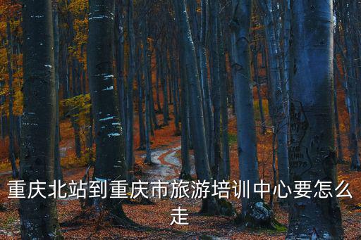 重慶北站到重慶市旅游培訓中心要怎么走