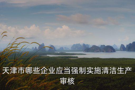 天津市環保十四五規劃，今天給天津市市環保局打電話問2019年環保標發了嗎環保局說環保