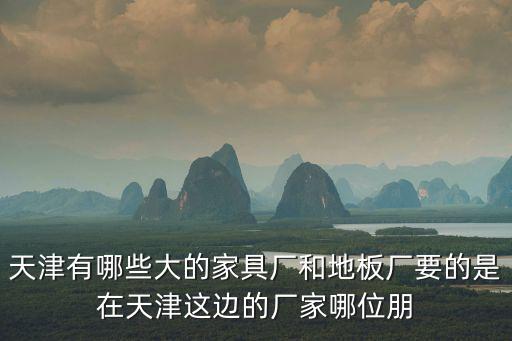 天津有哪些大的家具廠和地板廠要的是在天津這邊的廠家哪位朋