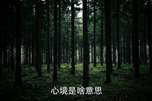  心境是啥意思
