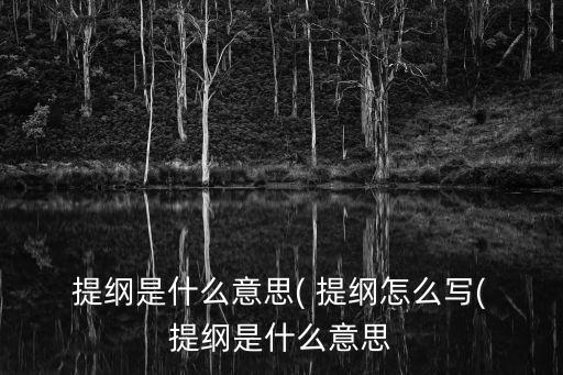 提綱怎么寫例子格式