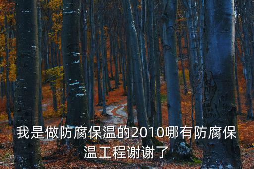 我是做防腐保溫的2010哪有防腐保溫工程謝謝了