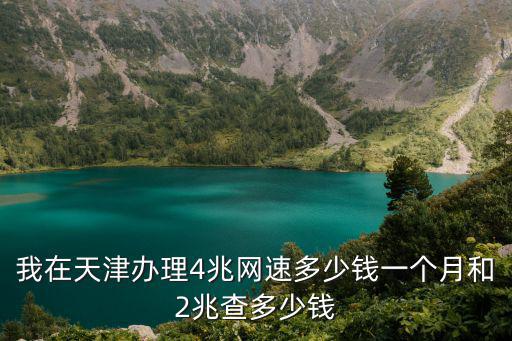 我在天津辦理4兆網(wǎng)速多少錢一個月和2兆查多少錢