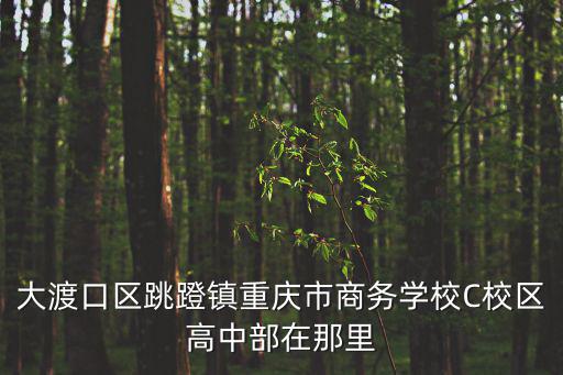 大渡口區(qū)跳蹬鎮(zhèn)重慶市商務(wù)學(xué)校C校區(qū)高中部在那里