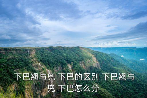 兜下巴,男人的下巴有哪些區別?