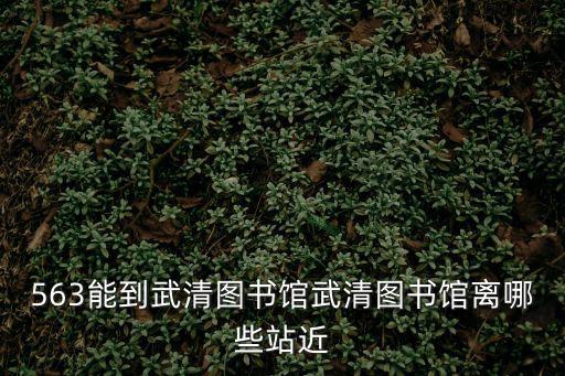563能到武清圖書館武清圖書館離哪些站近