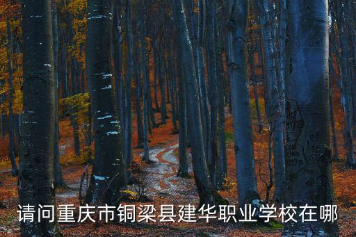 請(qǐng)問(wèn)重慶市銅梁縣建華職業(yè)學(xué)校在哪