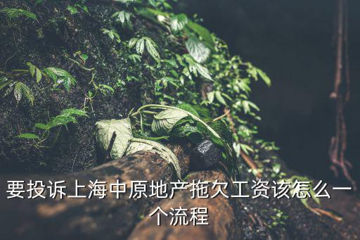 要投訴上海中原地產(chǎn)拖欠工資該怎么一個流程