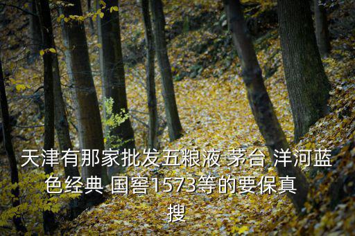 天津市金達(dá)萊商貿(mào)有限公司，天津有那家批發(fā)五糧液 茅臺(tái) 洋河藍(lán)色經(jīng)典 國窖1573等的要保真  搜