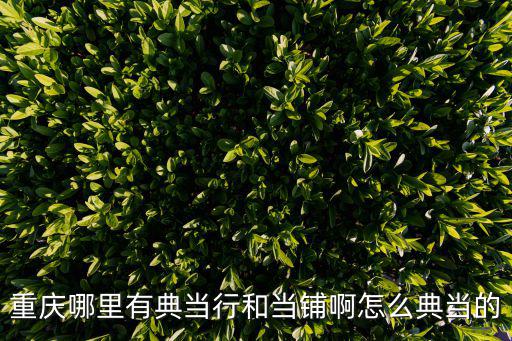 重慶市巫山縣典當行，重慶有典當鋪嗎