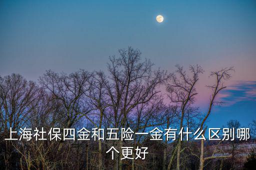 上海社保四金和五險(xiǎn)一金有什么區(qū)別哪個(gè)更好