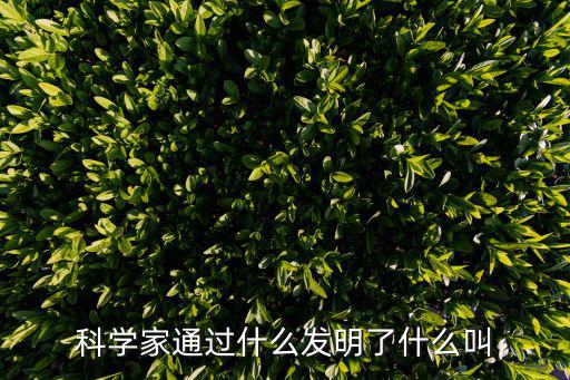 科學家的發明，科學家發明了什么