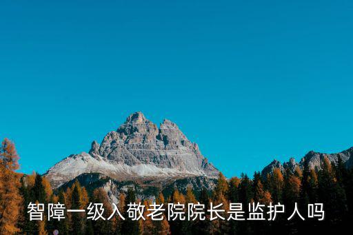 智障一級入敬老院院長是監護人嗎