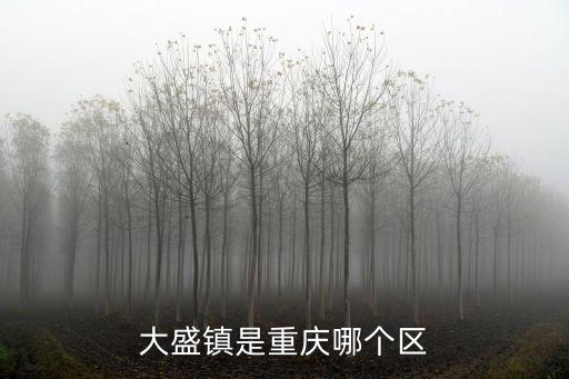 重慶省重慶市盛塔山屬于什么區(qū)，大盛鎮(zhèn)是重慶哪個區(qū)