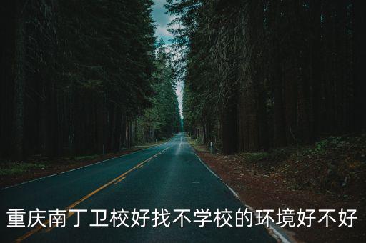 重慶市南丁衛生職業技術學校，重慶沙坪壩南丁衛校是私人開的還是國企