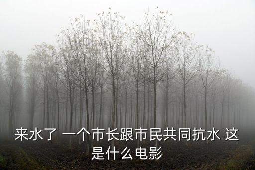 成都市長王鳳朝宣傳片，來水了 一個市長跟市民共同抗水 這是什么電影