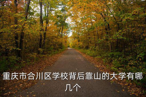 重慶市合川中學(xué)隔壁大學(xué)，重慶市合川區(qū)高校園區(qū)思源路15號(hào)那是個(gè)什么學(xué)校他是算大學(xué)嗎
