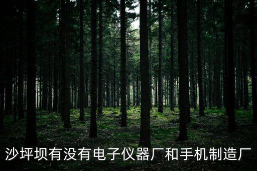 沙坪壩有沒有電子儀器廠和手機制造廠