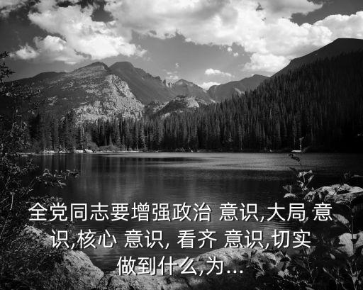 全黨同志要增強政治 意識,大局 意識,核心 意識, 看齊 意識,切實做到什么,為...