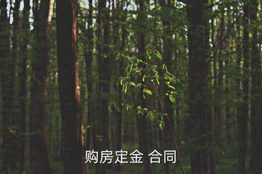購房定金合同，購房定金 合同