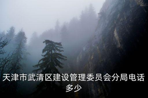天津市武清區建設管理委員會分局電話多少