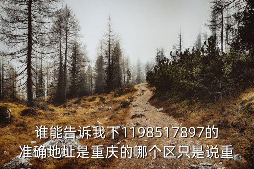 tnt是重慶市的哪個區，誰能告訴我下1198517897的準確地址是重慶的哪個區只是說重