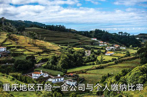 重慶地區五險一金公司與個人繳納比率