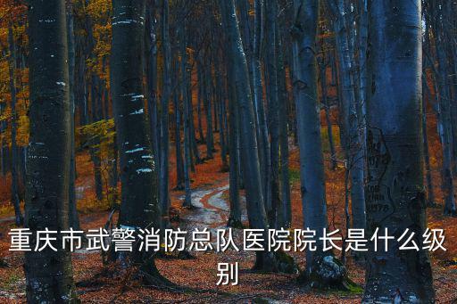 重慶市武警醫(yī)院副院長，中國人民武裝警察部隊重慶市消防總隊醫(yī)院