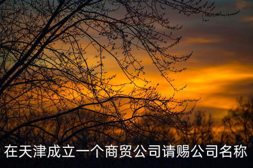 在天津成立一個商貿(mào)公司請賜公司名稱
