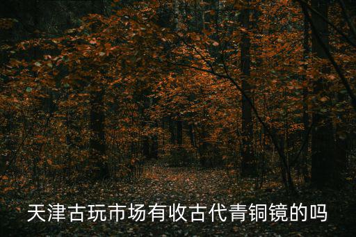 天津古玩市場(chǎng)有收古代青銅鏡的嗎