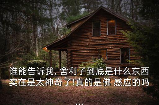 誰能告訴我, 舍利子到底是什么東西實在是太神奇了!真的是佛 感應的嗎...
