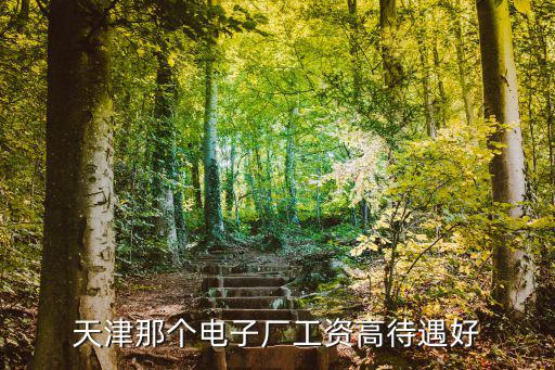 天津那個電子廠工資高待遇好