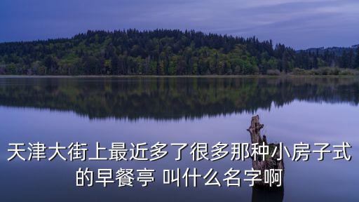 天津市區哪有亭子，請問天津的玫瑰亭在哪