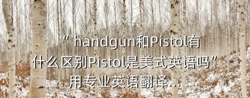 “ handgun和Pistol有什么區別Pistol是美式英語嗎”用專業英語翻譯...