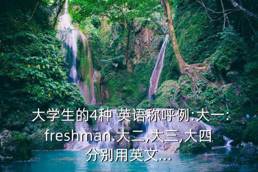 大學生英語怎么說,大選提名日