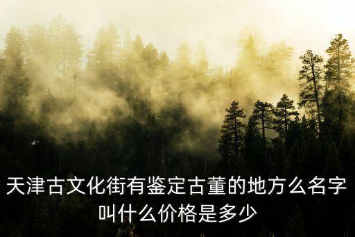 天津古文化街有鑒定古董的地方么名字叫什么價(jià)格是多少