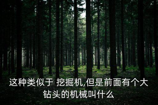 這種類似于 挖掘機,但是前面有個大鉆頭的機械叫什么